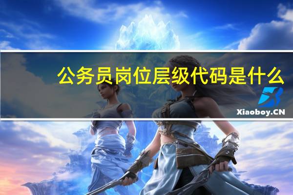 公务员岗位层级代码是什么