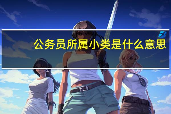 公务员所属小类是什么意思