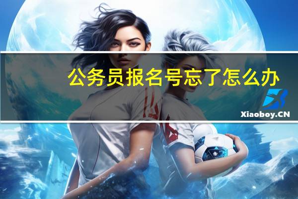 公务员报名号忘了怎么办