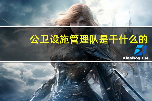 公卫设施管理队是干什么的