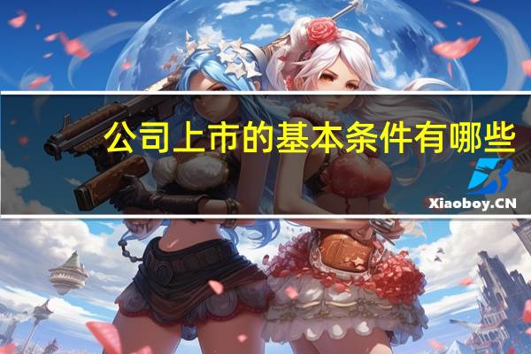 公司上市的基本条件有哪些（公司上市的基本条件）