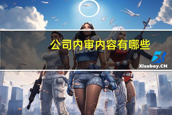 公司内审内容有哪些