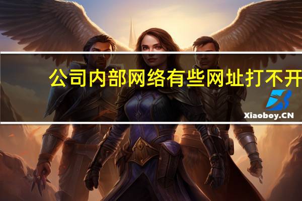 公司内部网络有些网址打不开（公司内部网络监控）