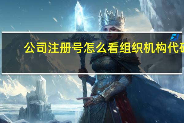 公司注册号怎么看组织机构代码（公司注册号怎么查询）