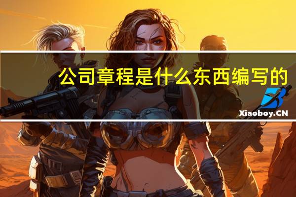 公司章程是什么东西编写的（公司章程是什么东西）