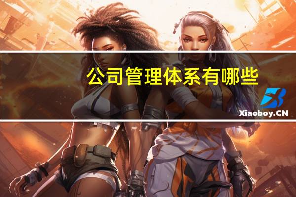 公司管理体系有哪些（管理体系有哪些）