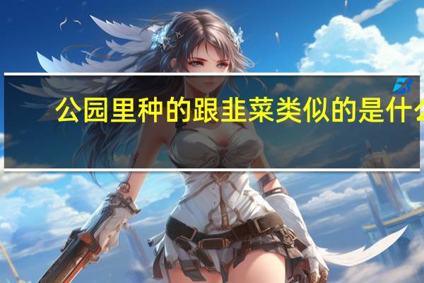 公园里种的跟韭菜类似的是什么