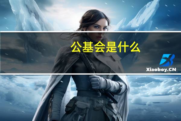 公基会是什么