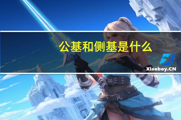 公基和侧基是什么