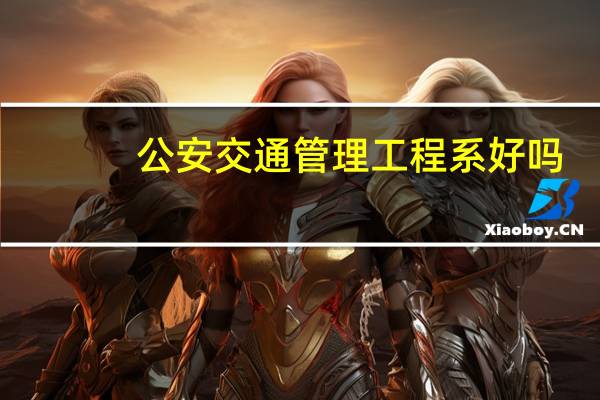 公安交通管理工程系好吗