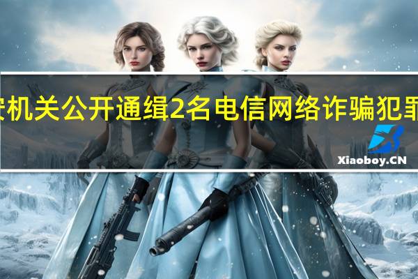 公安机关公开通缉2名电信网络诈骗犯罪集团头目