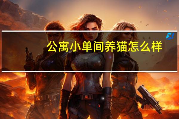 公寓小单间养猫怎么样