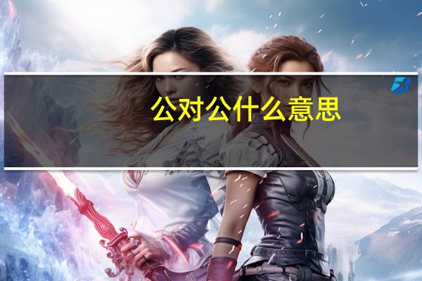 公对公什么意思