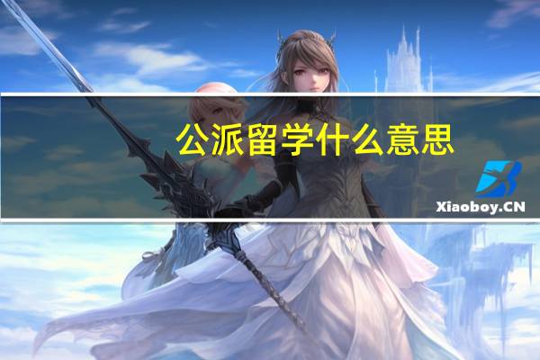 公派留学什么意思，怎么回事