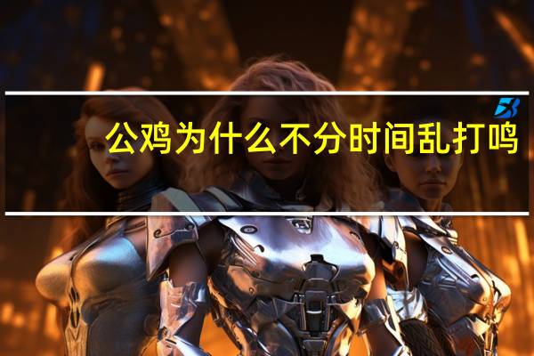公鸡为什么不分时间乱打鸣(公鸡为什么打鸣)