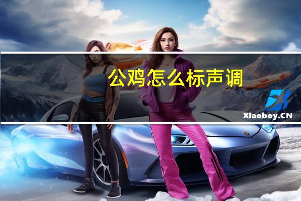 公鸡怎么标声调