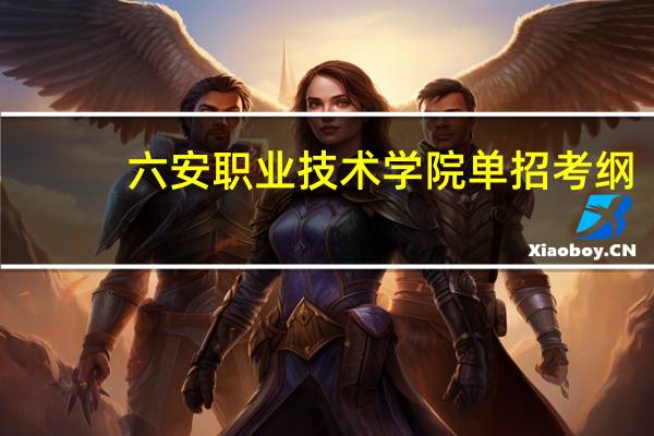 六安职业技术学院单招考纲