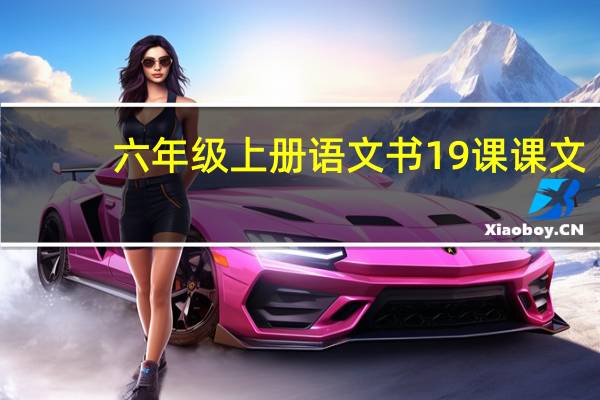 六年级上册语文书19课课文（六年级上册语文书19课作者是谁）