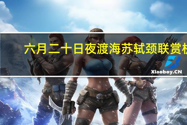 六月二十日夜渡海苏轼颈联赏析