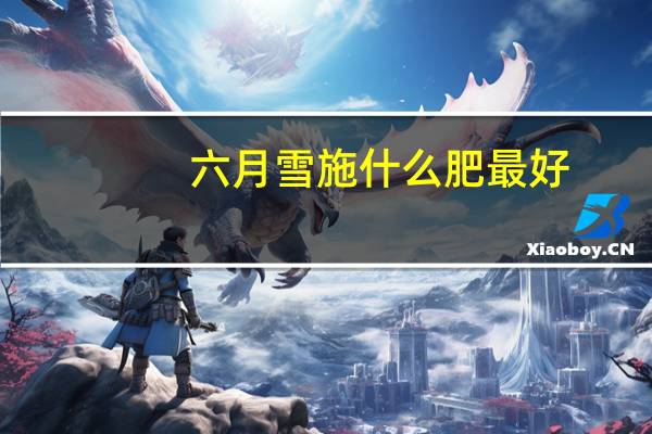 六月雪施什么肥最好