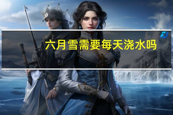 六月雪需要每天浇水吗
