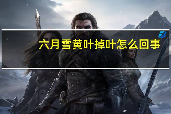 六月雪黄叶掉叶怎么回事