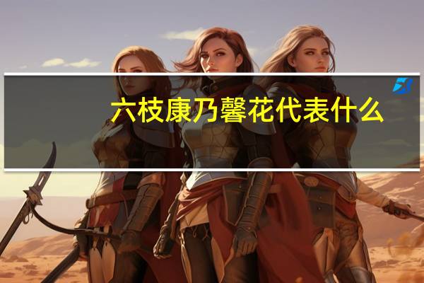 六枝康乃馨花代表什么