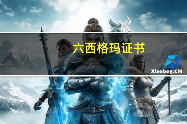 六西格玛证书（关于六西格玛证书的介绍）