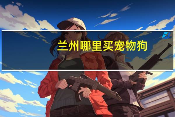 兰州哪里买宠物狗