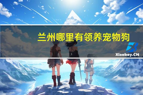 兰州哪里有领养宠物狗