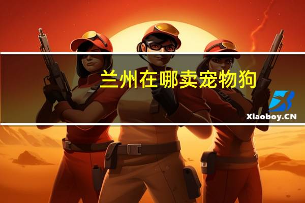 兰州在哪卖宠物狗