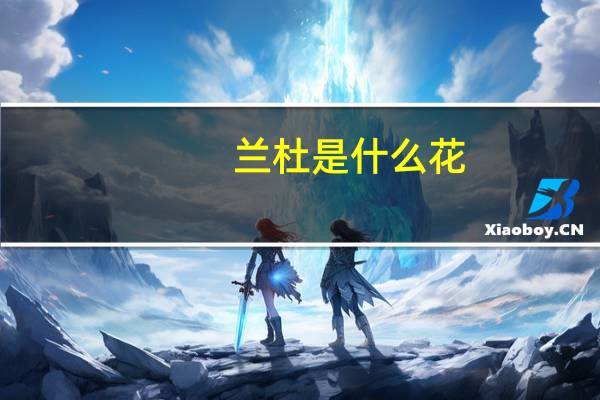 兰杜是什么花