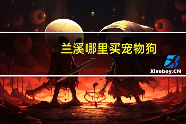 兰溪哪里买宠物狗