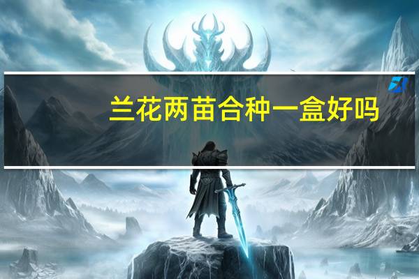 兰花两苗合种一盒好吗