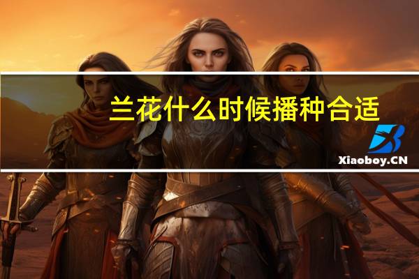 兰花什么时候播种合适