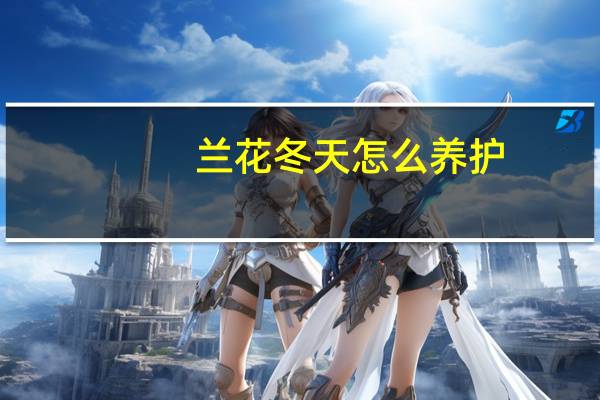 兰花冬天怎么养护