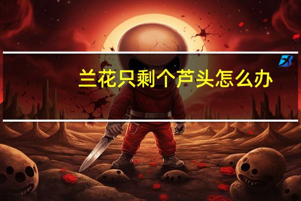 兰花只剩个芦头怎么办