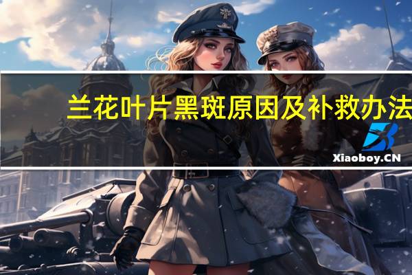 兰花叶片黑斑原因及补救办法