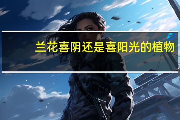 兰花喜阴还是喜阳光的植物