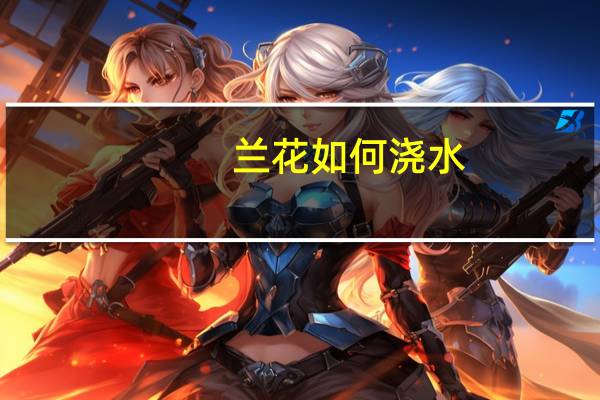 兰花如何浇水