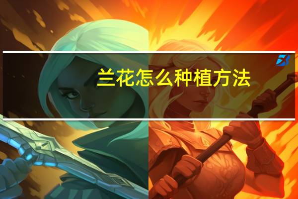 兰花怎么种植方法