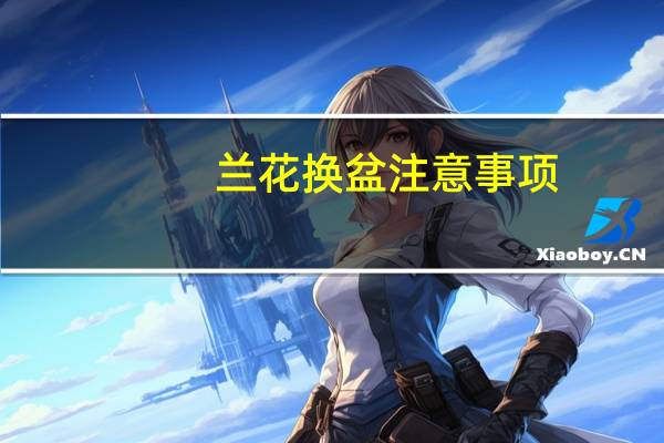 兰花换盆注意事项