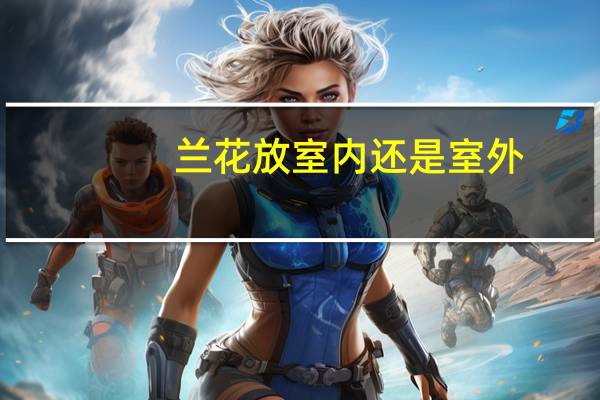兰花放室内还是室外