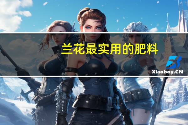 兰花最实用的肥料