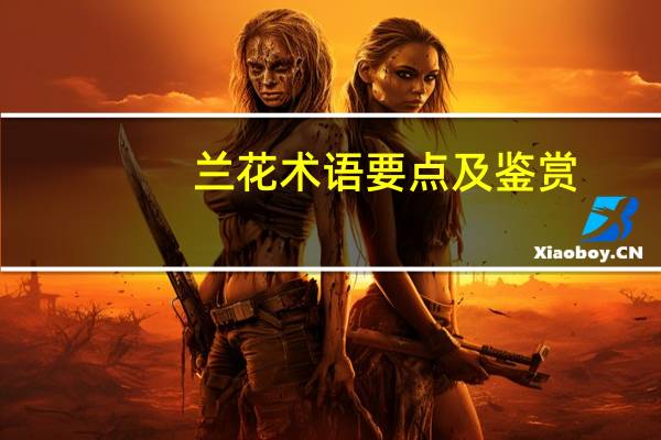兰花术语要点及鉴赏