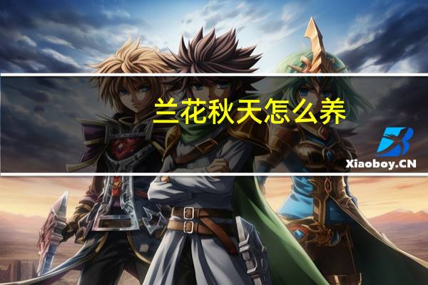 兰花秋天怎么养