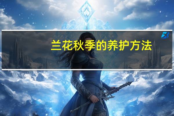 兰花秋季的养护方法：五个方面教您完成兰花秋季的养护