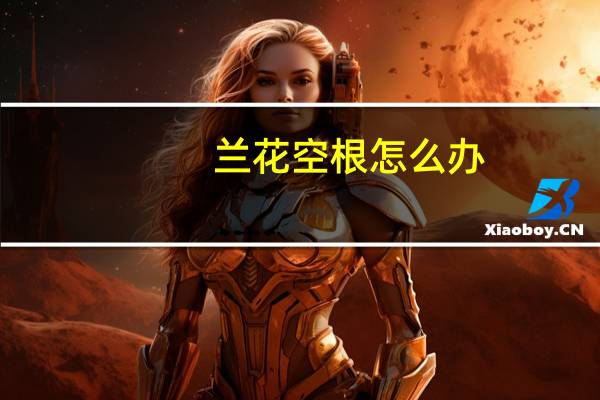 兰花空根怎么办：兰花空根的原因分析及解决办法