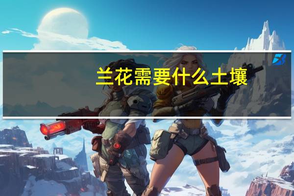 兰花需要什么土壤