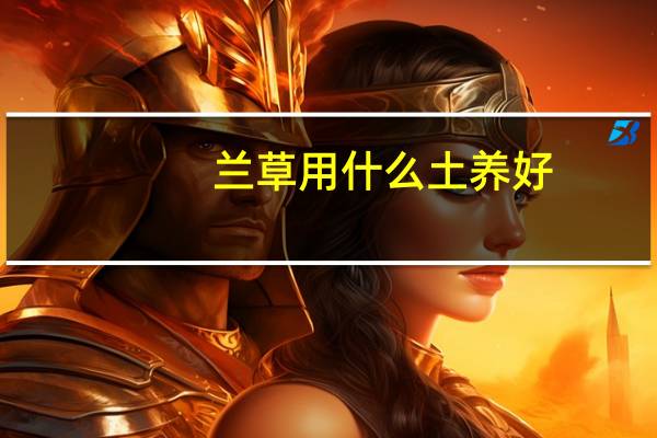 兰草用什么土养好